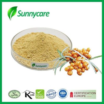 Water Soluble Seabuckthorn Fruit Powder Sea Buckthorn Extract Powder Flavonoid TLC