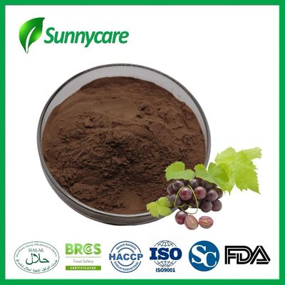 CAS 84929-27-1 OPC Plant Extract Powder Proanthocyanidins Grape Seed Extract