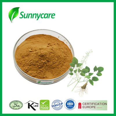 Horny Goat Weed Epimedium Extract Powder 5% Icariin 10% 20% 98% Cas 489-32-7