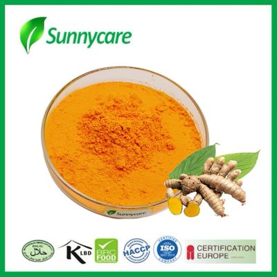 CAS 458-37-7 Yellow Turmeric Extract Powder 95% Curcumin Curcuma Longa Extract