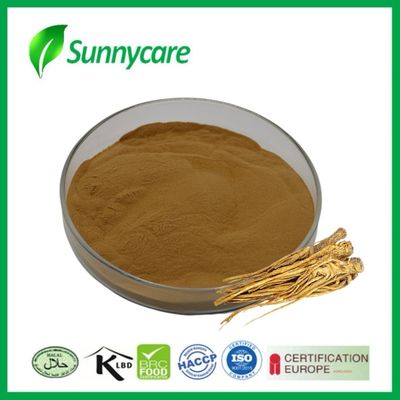 Dong Quai  Extract Powder Angelica sinensis Liver and Kidney Health Herbal Remedies