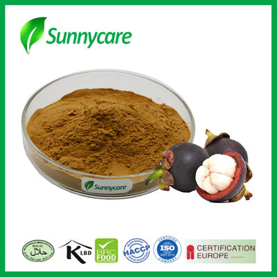 Mangosteen Fruit Extract Powder Polyphenol 10% / 30% UV Natural Food Additive