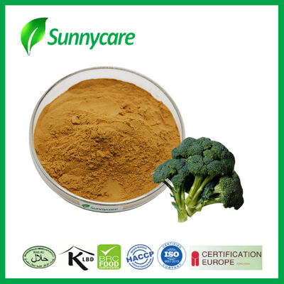 Broccoli Extract Powder Sulforaphane 0.5% - 98% CAS 4478-93-7 