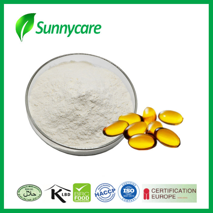 Omega Dha Powder Omega-3 Fatty Acid Omega Oil Supplements CAS 6217-54-5 Microalgae DHA ...