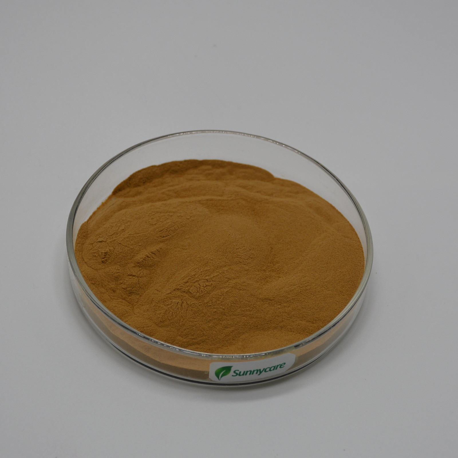 Maitake Extract Grifola Frondosa Brown Powder 41 TLC Polysaccharides