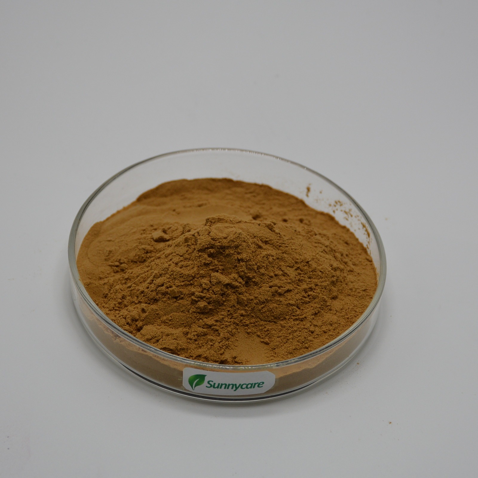 Maitake Extract Grifola Frondosa Brown Powder 41 TLC Polysaccharides 20 UV Food Additives