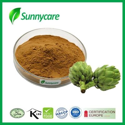 2.5% - 5% Cynarin Artichoke Leaf Extract Powder Cynara Scolymus Extract