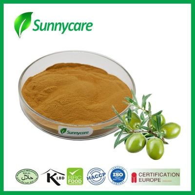 Hydroxytyrosol Plant Herbal Extract  CAS 10597-60-1 Olive Leaf Extract Oleuropein Powder