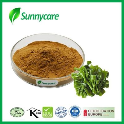 Food Grade Natural Kelp Extract Supplement Laminarin Powder CAS 9012-72-0