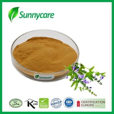 85% 98% Baicalin Cosmetic Raw Materials 21967-41-9 Scutellaria Baicalensis Root Extract
