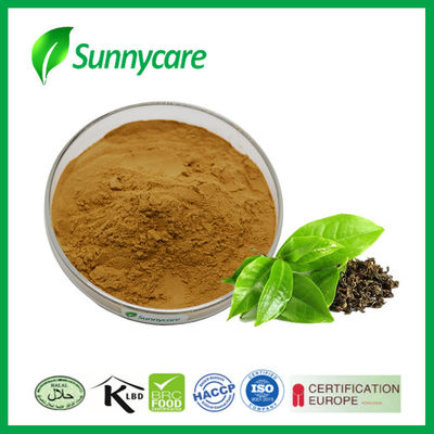 Food Grade Natural Herb Extract Tea Polyphenols EGCG Green Tea Extract Powder