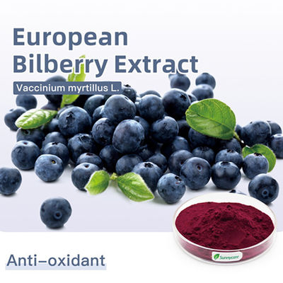 European Bilberry Vaccinium Myrtillus Extract 1% - 25% Anthocyanosides