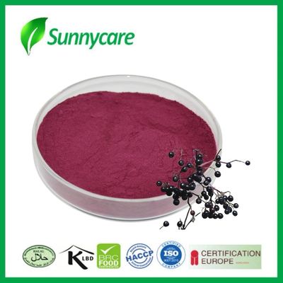 Black Elderberry Extract Powder from Sambucus nigra for Immunity and Vitality