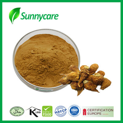 Maca Root Extract Powder 0.6% Macamides Rich in Polysaccharides For Dietary Supplement